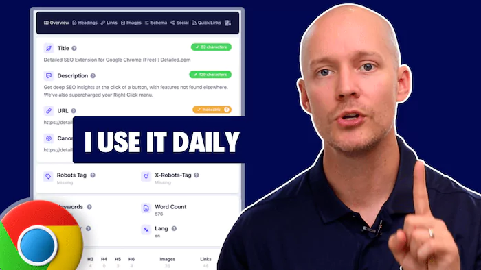 Detailed SEO Extension review